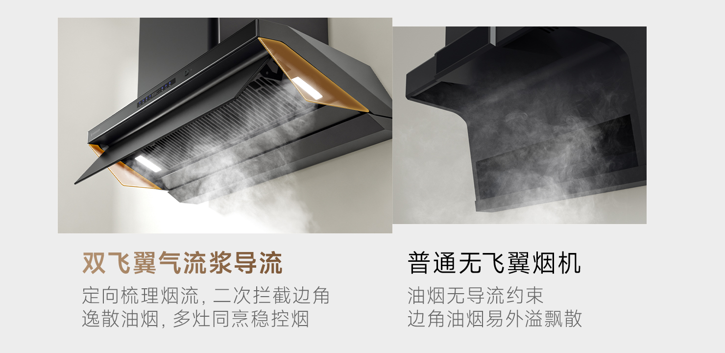 双飞翼气流桨