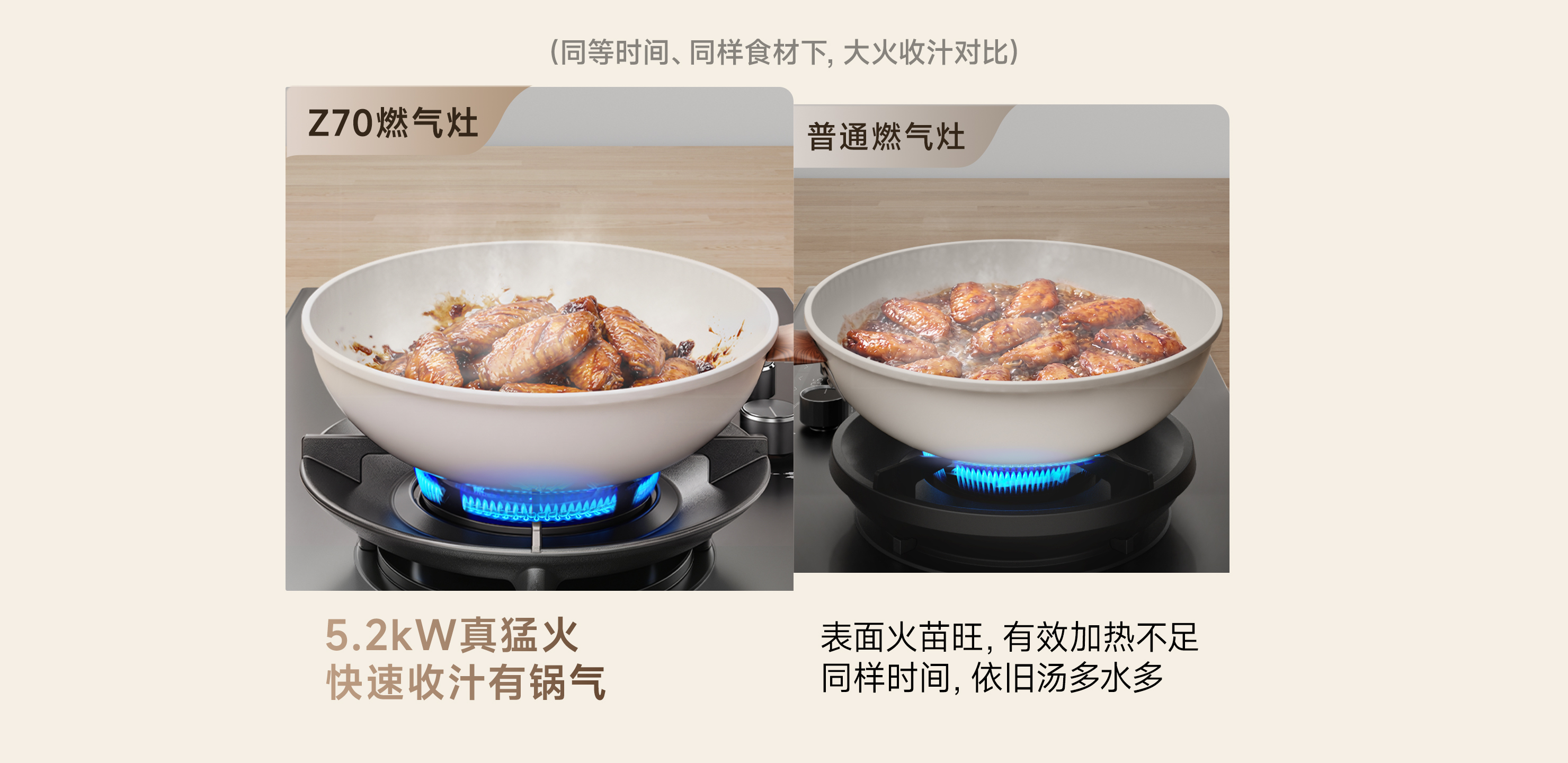 蓝焱环控燃烧系统