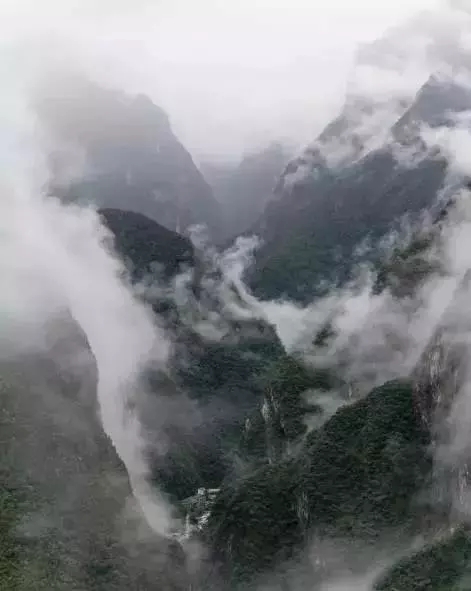 1551249712644519hkvR.jpg 2.webp.jpg