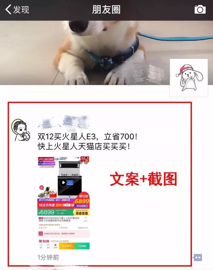 1513048632436527Ifvw.jpg